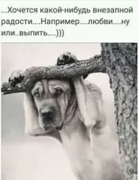 665ecead261d9c378bb731c9a3c3721b.webp