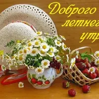 708471456.webp