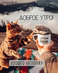74ef48424a516ccb13aa49df08349bd3.webp