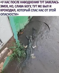 Screenshot_20210817_162250.webp