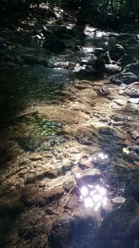 Rxw96PU2fwo.webp