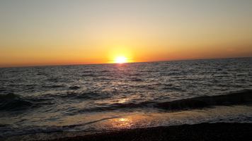 Screenshot_20210817-184337_Gallery.webp