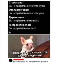 Screenshot_20210817_184520.webp