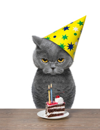 Screenshot_20210818-111853_Chrome.webp