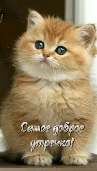 7fe8bacc558baedb49d46a9cc342578c.webp