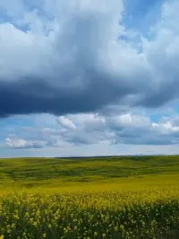 Снимок 4.webp