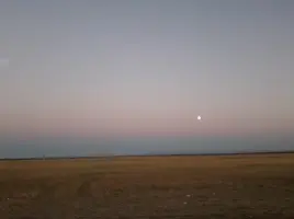 Снимок.webp