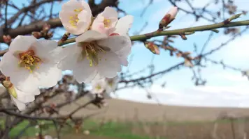nMmlFFavt6M.webp