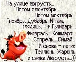 2bCVkt3-JCs.webp