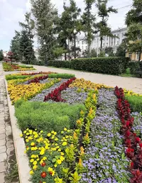 Screenshot_20210819-123240_Gallery.webp