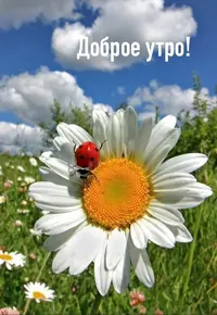 IMG-20210819-WA0002.webp