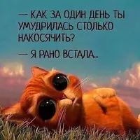 leCQ6AfiDps.webp