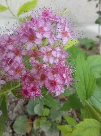 20210703_194119.webp