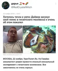 0C810123-A4CC-49AC-8DF1-2803DA7D1E78.webp