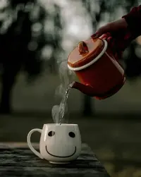ac4bbdc1b3209124c935dc4c47b9bbcc.webp