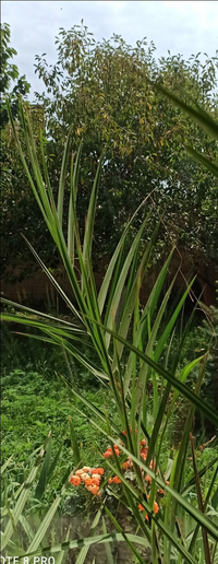 IMG_20210820_141922.webp