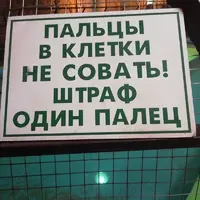 IMG_20210820_121917.webp