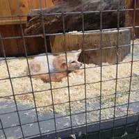 IMG_20210820_114812.webp