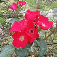 IMG_20210820_113627.webp