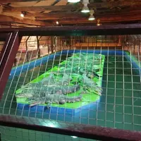 IMG_20210820_115347.webp
