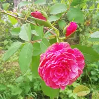 IMG_20210821_122459.webp