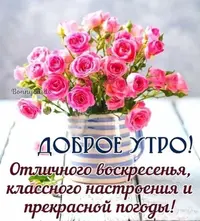 IMG-685c347b9f53307089319ab6d38f533e-V.webp