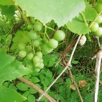 IMG_20210821_125514.webp