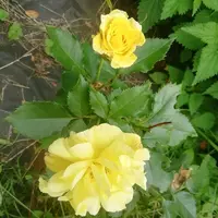 IMG_20210821_125811.webp