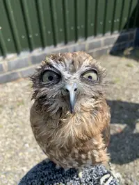 jzlhiz6t.webp