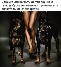 Screenshot_20210822_202448.webp