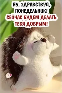 i (1).webp