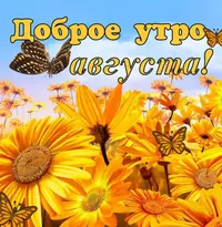 IMG-20210816-WA0001.webp