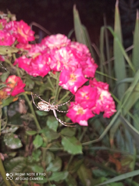 IMG_20210821_232651.webp