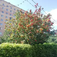 IMG_20210823_123646.webp
