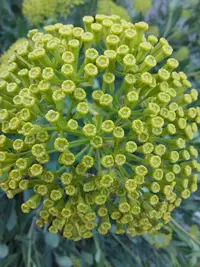 20210703_194227.webp