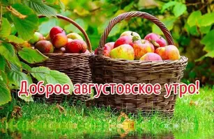 IMG-20210824-WA0000.webp
