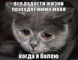nngl6l.webp