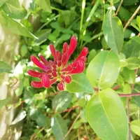 IMG_20210824_095502.webp