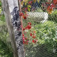 IMG_20210824_095851.webp