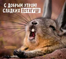 257017dd62ab058b1273baef10672fd1.webp