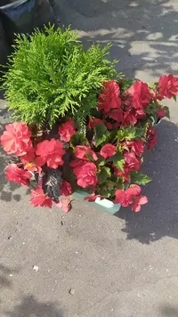 IMG_20210825_112809.webp