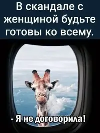 c3b9b07730285b8434a21047acd34548.webp