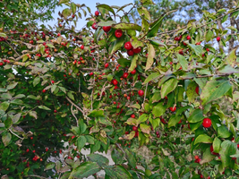 IMG_20210825_165220.webp