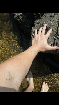 Screenshot_20210825-213114_Gallery.webp