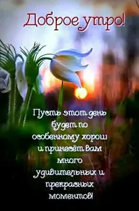 IMG-ba89d39865f182589cb53ef975165375-V.webp