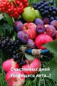 IMG-20210826-WA0001.webp
