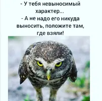 Screenshot_20210817_162437.webp