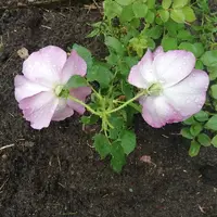 IMG_20210826_103207.webp