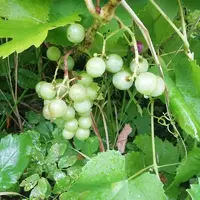 IMG_20210826_103319.webp