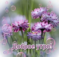 1630036901863.jpg.webp